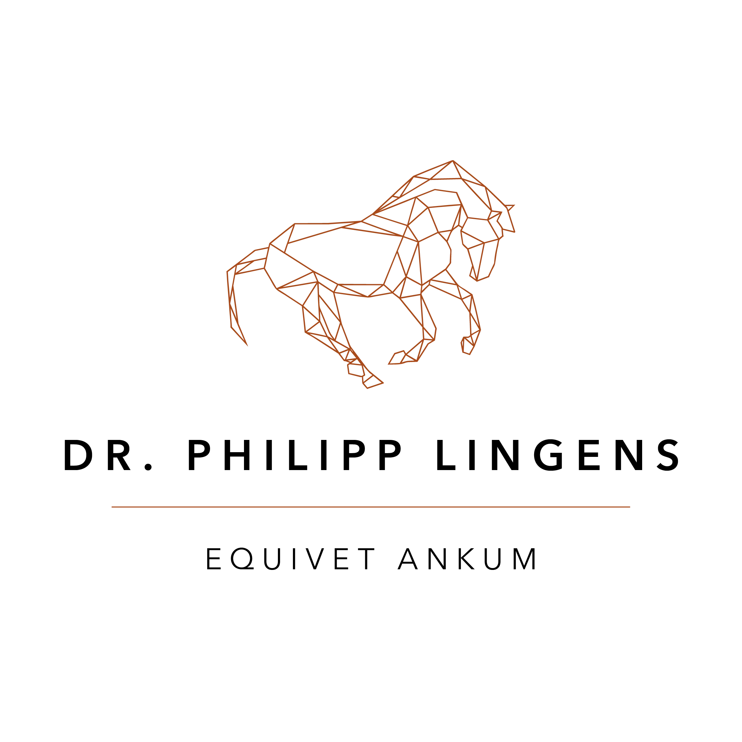 EquiVet Ankum