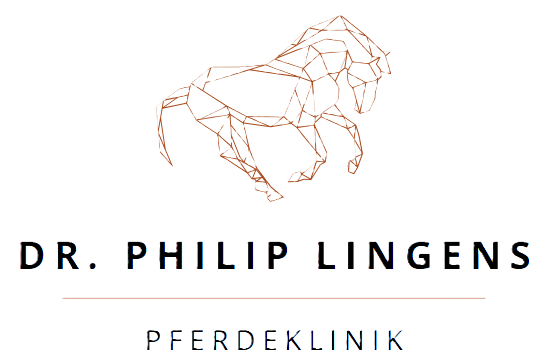 EquiVet Ankum GmbH Logo